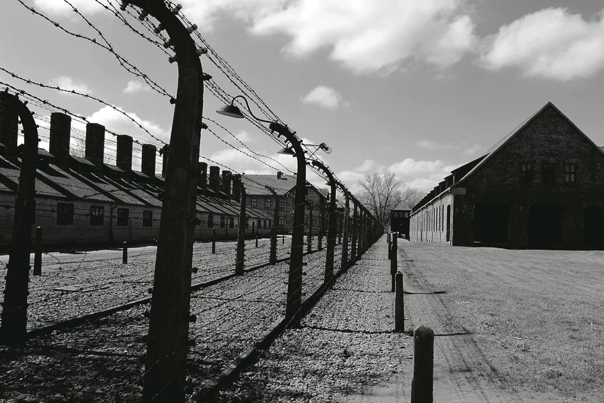 Buchenwald fence