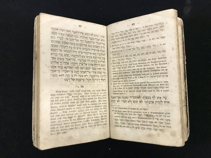 Hebräisches Lehr- und Uebungsbuch für Schulen