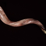 Shofar horn