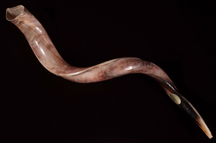 Shofar horn