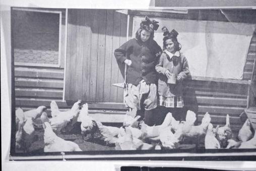 Amalie Sonneborn and Katharine Sonneborn feeding chickens at the Sonneborn farm at Benny Berth