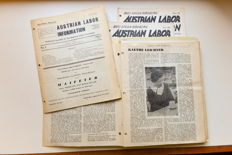 austrian-labor-information-003.JPG