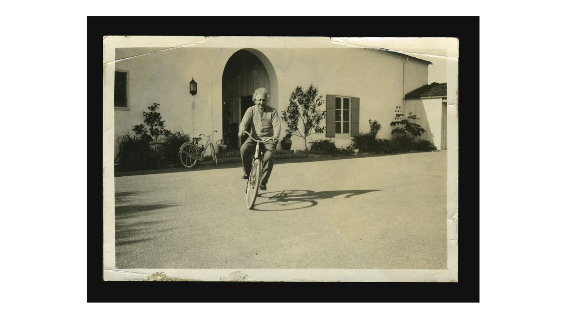 einstein on bicycle