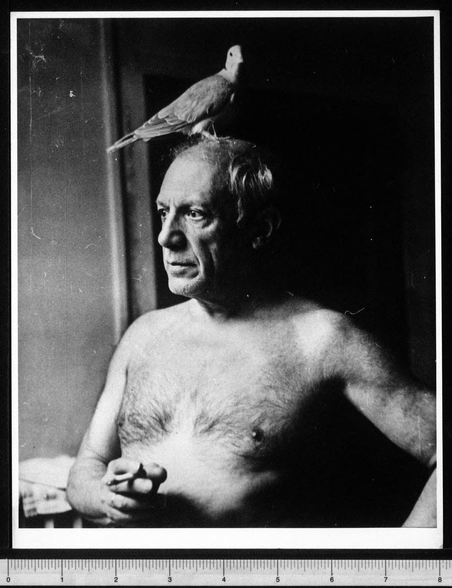 Portrait of Pablo Picasso by John D. Schiff