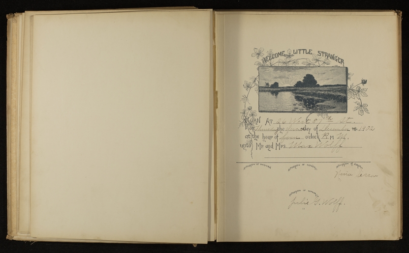 Pachner Wolff Family Collection