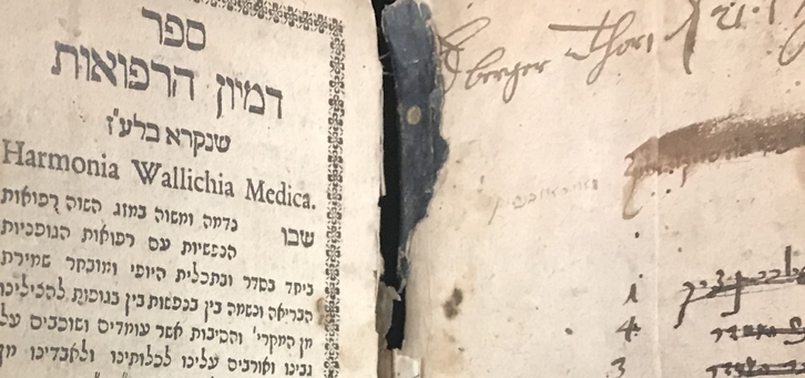 r R 133 W2 1700 _ c (crop)